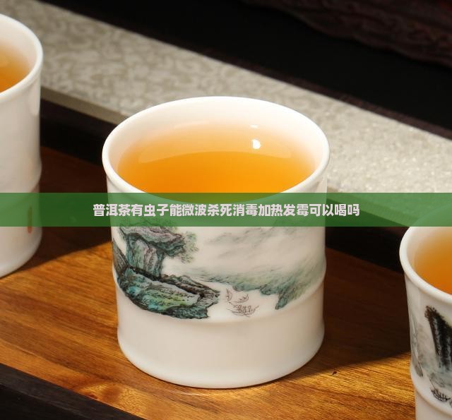 普洱茶有虫子能微波