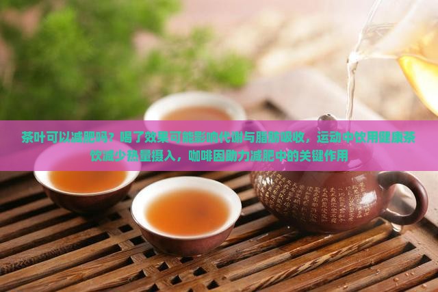 泡茶叶喝可以减肥吗
