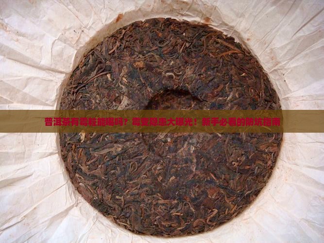 普洱茶有霉粒能喝吗百度百科