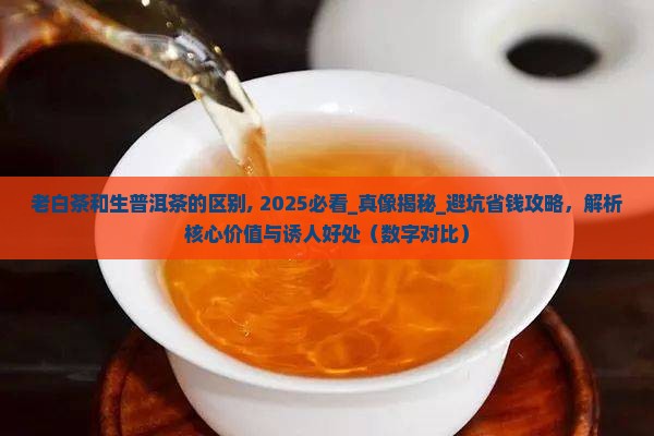 老白茶和生普洱茶的区别