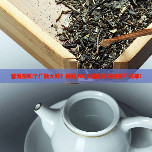 普洱茶哪个厂最大好