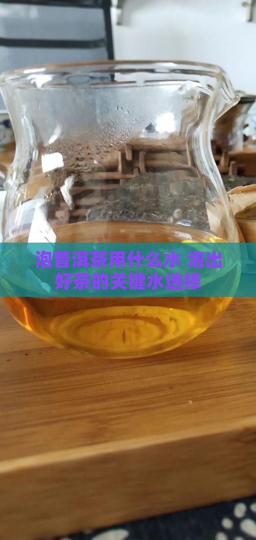泡普洱茶用什么水