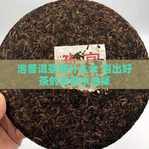 泡普洱茶用什么水
