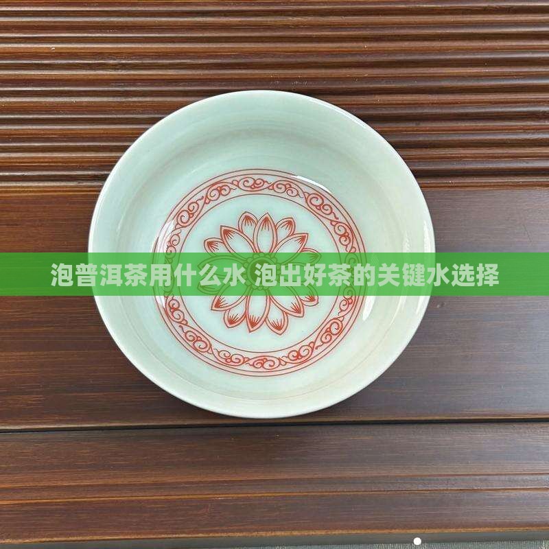 泡普洱茶用什么水