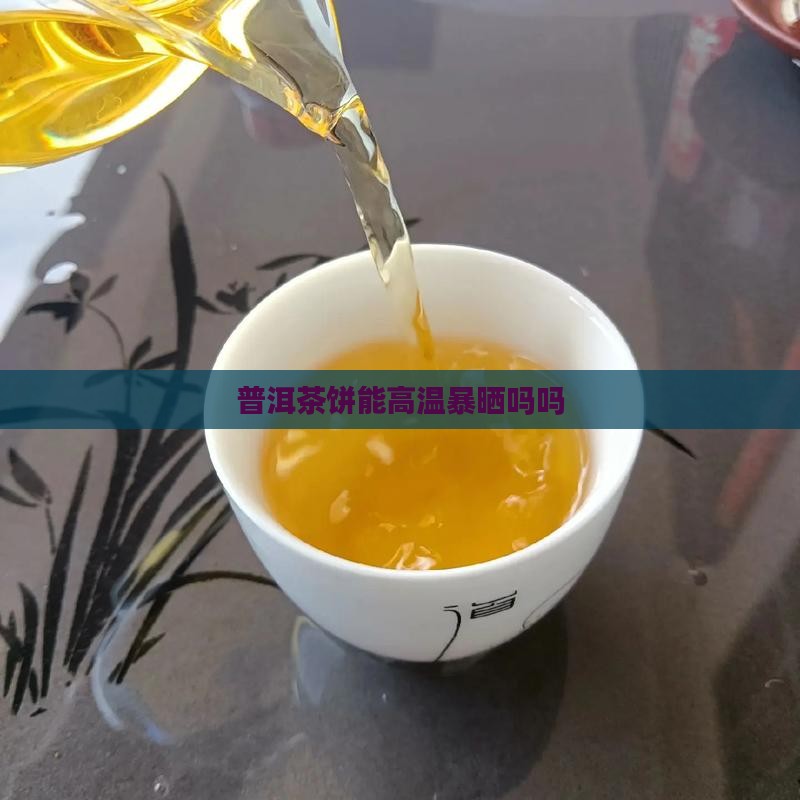 普洱茶饼能高温暴晒吗吗