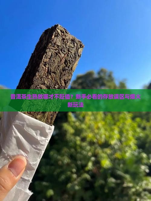 普洱茶生熟存放价值