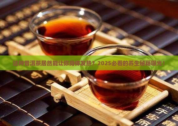 一种可以身体发热的普洱茶