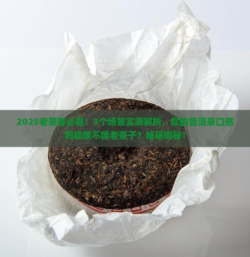 什么普洱茶是老茶子的口感
