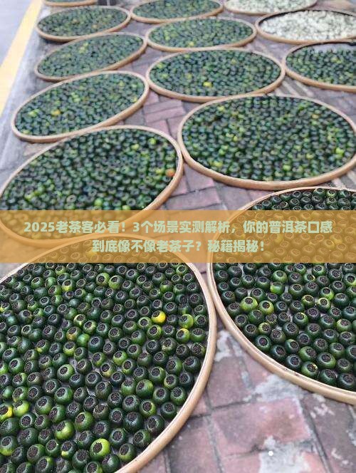 什么普洱茶是老茶子的口感