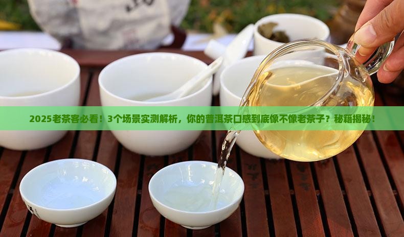 什么普洱茶是老茶子的口感