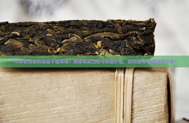 12年份普洱茶