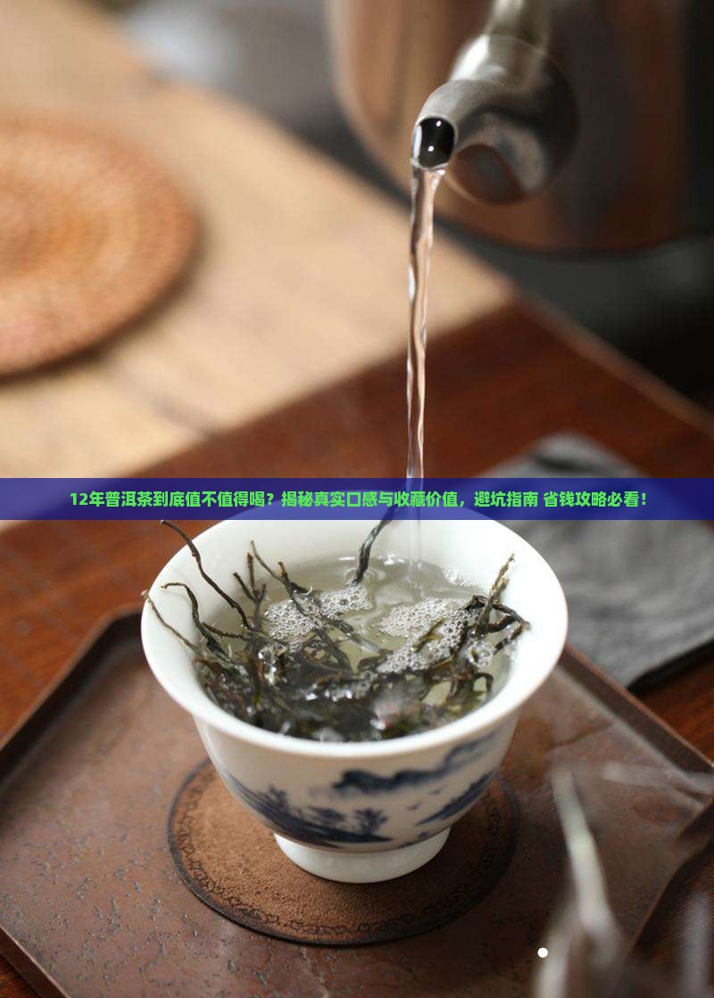 12年份普洱茶