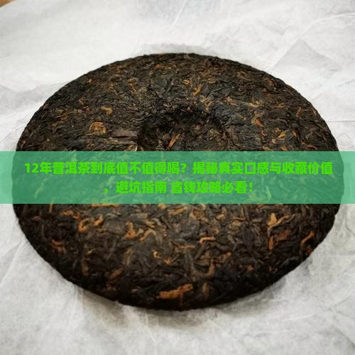 12年份普洱茶