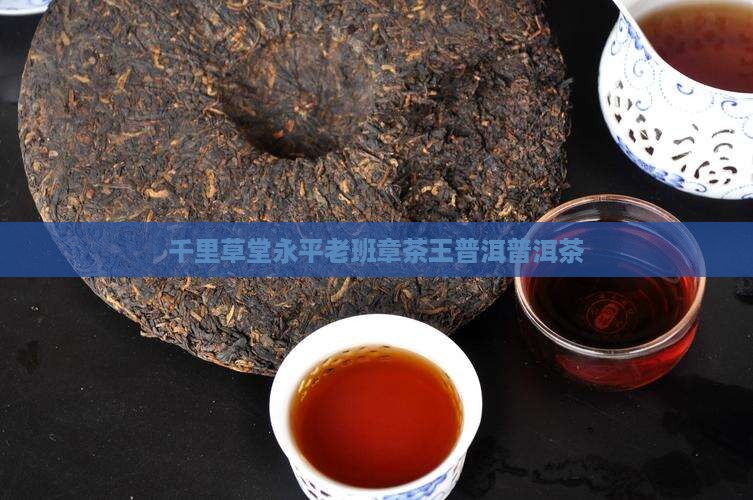 千里草堂杨永平老班章