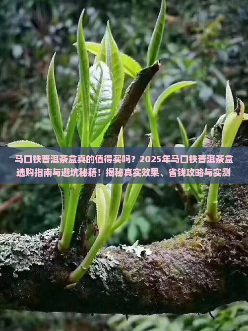 马口铁普洱茶盒