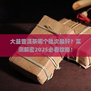 大益普洱茶哪个批次好
