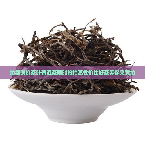 拍卖叫价茶叶普洱茶