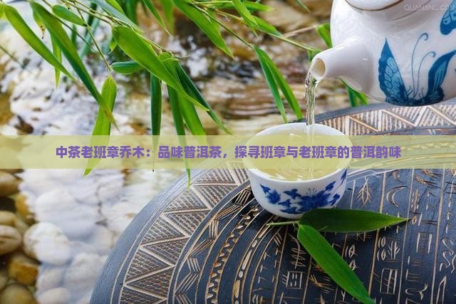 中茶老班章乔木
