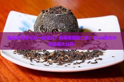 桂花普洱茶可以一起泡吗
