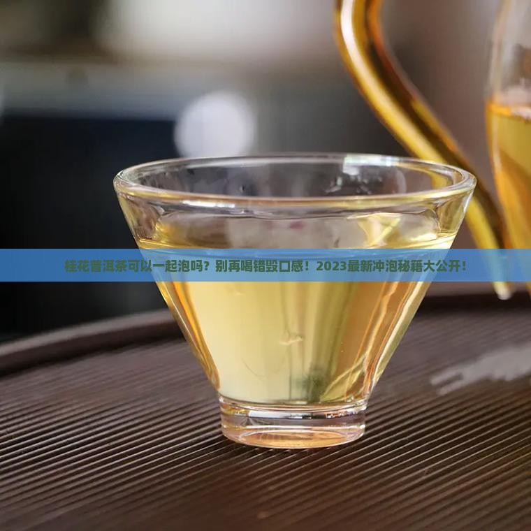 桂花普洱茶可以一起泡吗