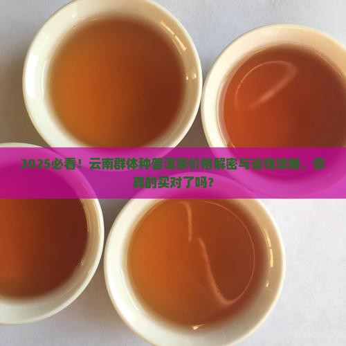 云南群体种普洱茶价格是多少