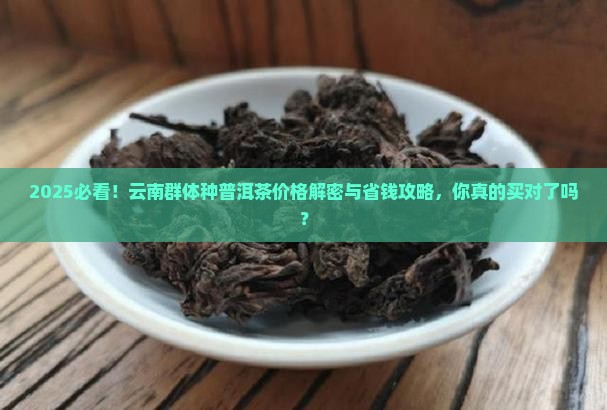 云南群体种普洱茶价格是多少
