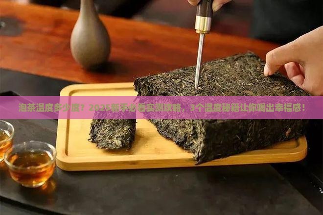 泡茶温度多少度