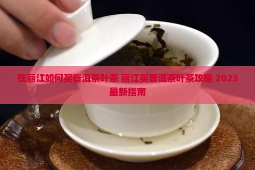 在丽江如何买普洱茶叶茶