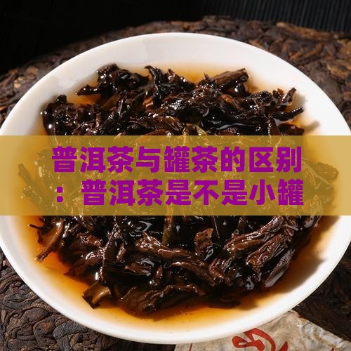 普洱茶是不是小罐茶