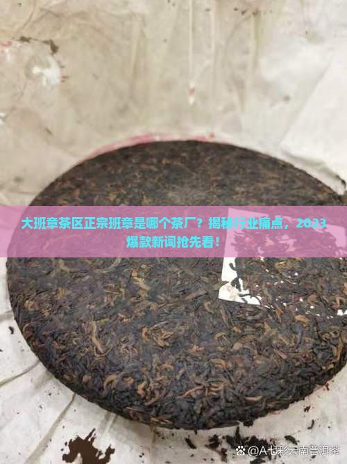 大班章茶区正宗班章是哪个茶厂