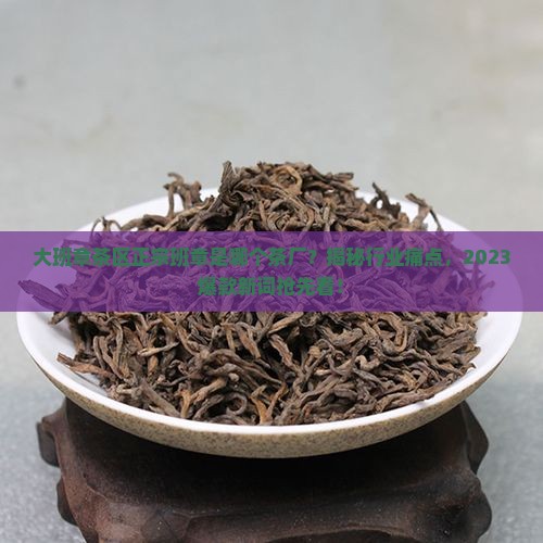 大班章茶区正宗班章是哪个茶厂