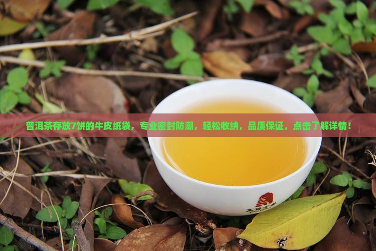 普洱茶存放7饼的牛皮纸袋
