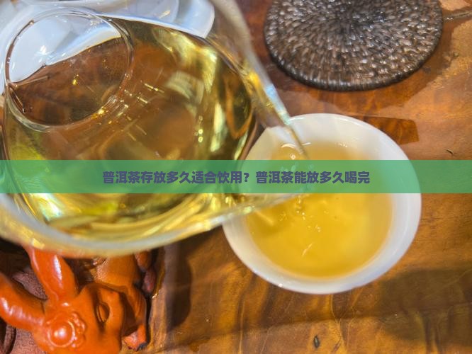 四川普洱茶能放多久喝完