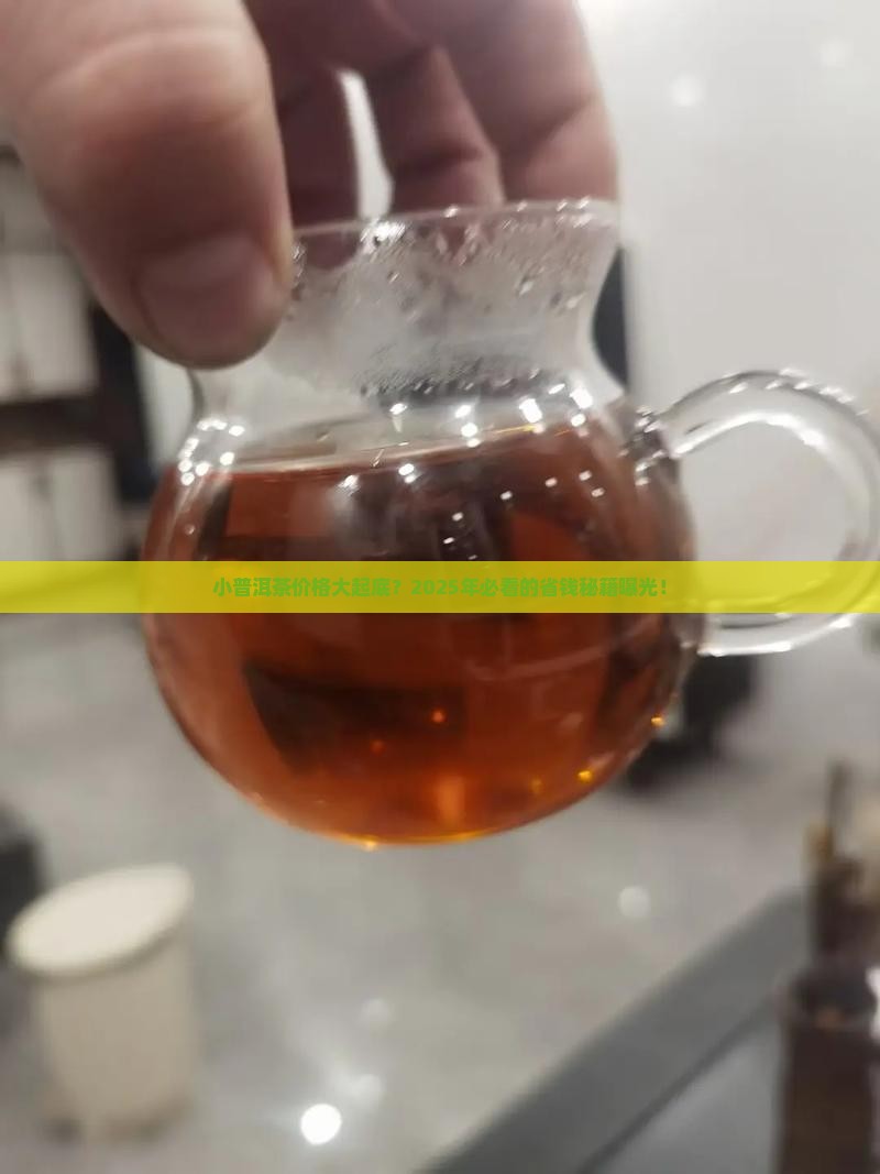 小普洱茶的价格表