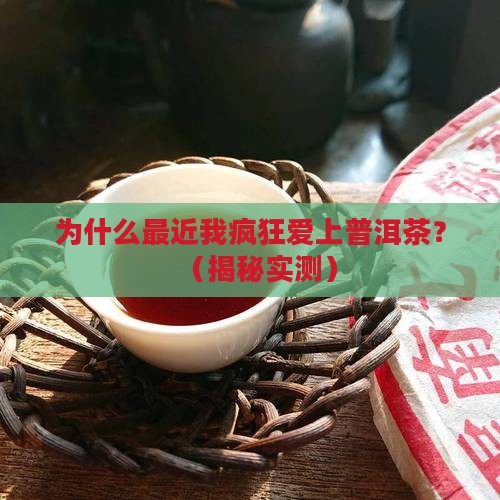 最近喜欢普洱茶的原因分析