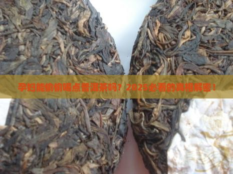 孕妇可以少量的喝普洱茶吗