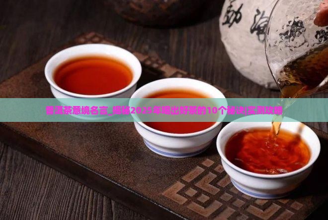 普洱茶意境名言