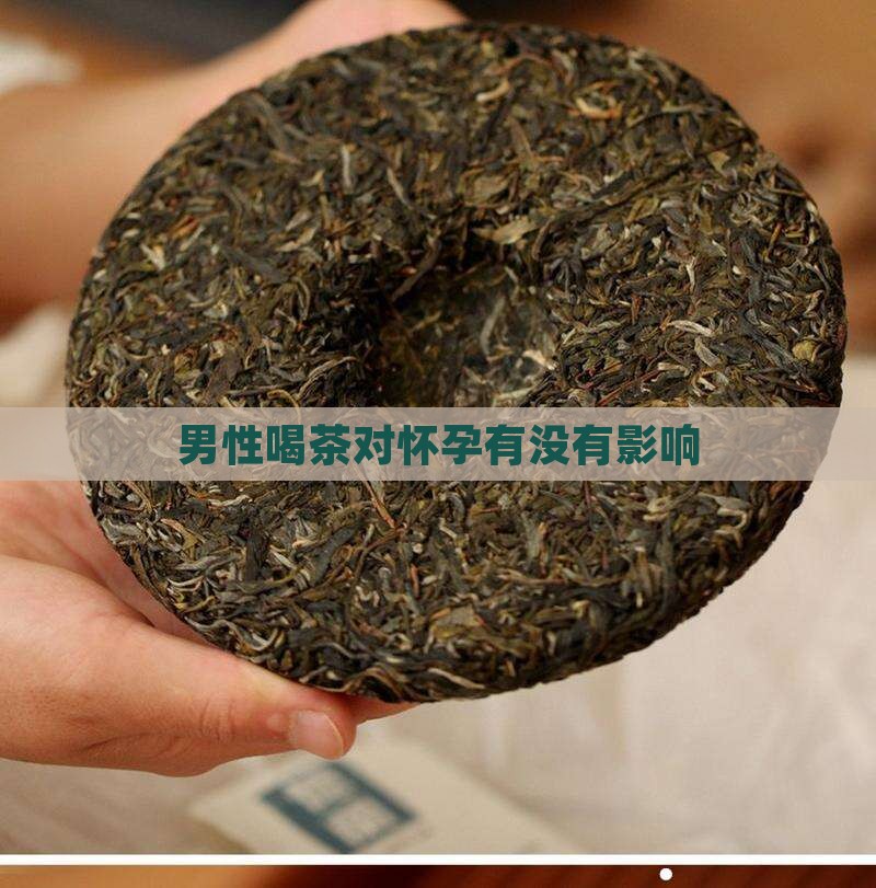 男性喝茶对怀孕有没有影响