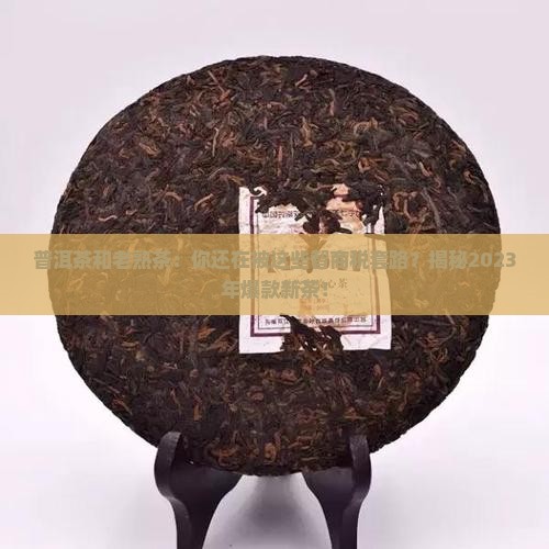 普洱茶和老熟茶