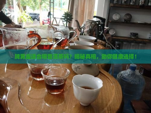 脾胃虚适合喝普洱茶吗