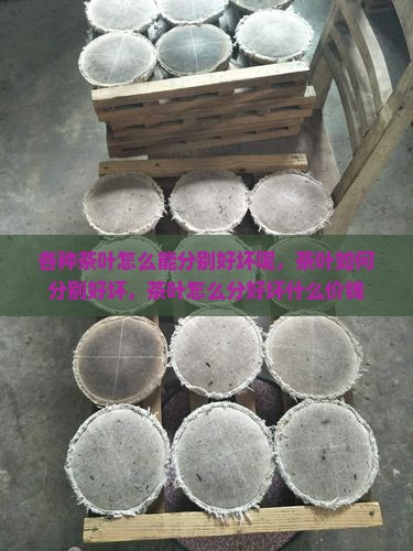 各种茶叶怎么能分别好坏