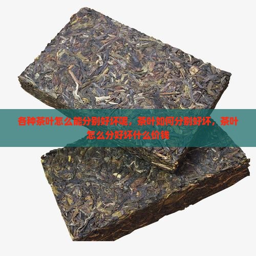 各种茶叶怎么能分别好坏