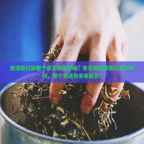 普洱茶红茶哪个冬天喝着好喝