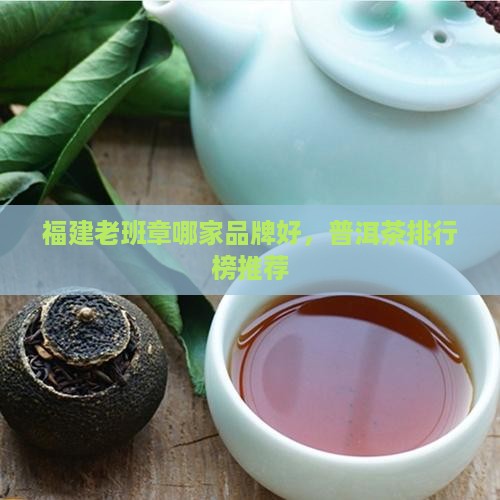 福建老班章选哪家好