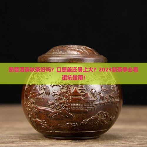 熟普洱茶秋茶好吗