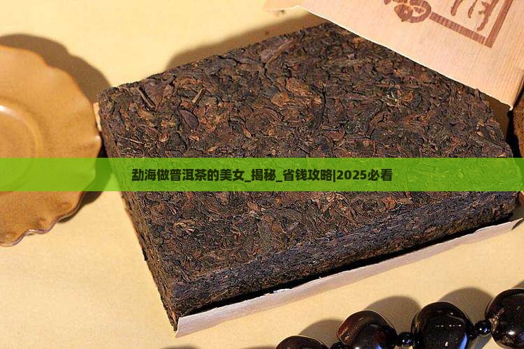 勐海做普洱茶的美女