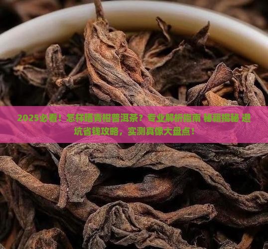 怎样晒青柑普洱茶