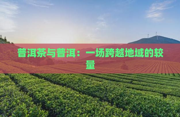 普洱茶pk浙江