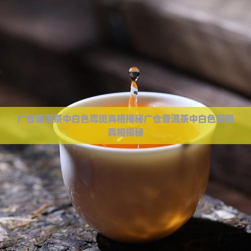 广仓普洱茶中白色霉斑