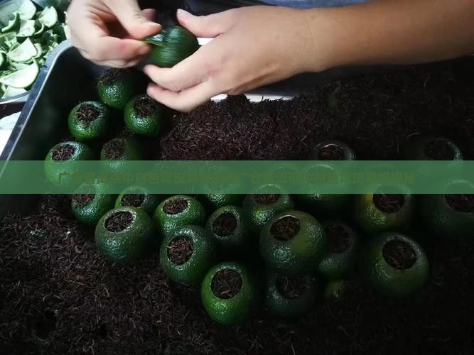 广仓普洱茶中白色霉斑